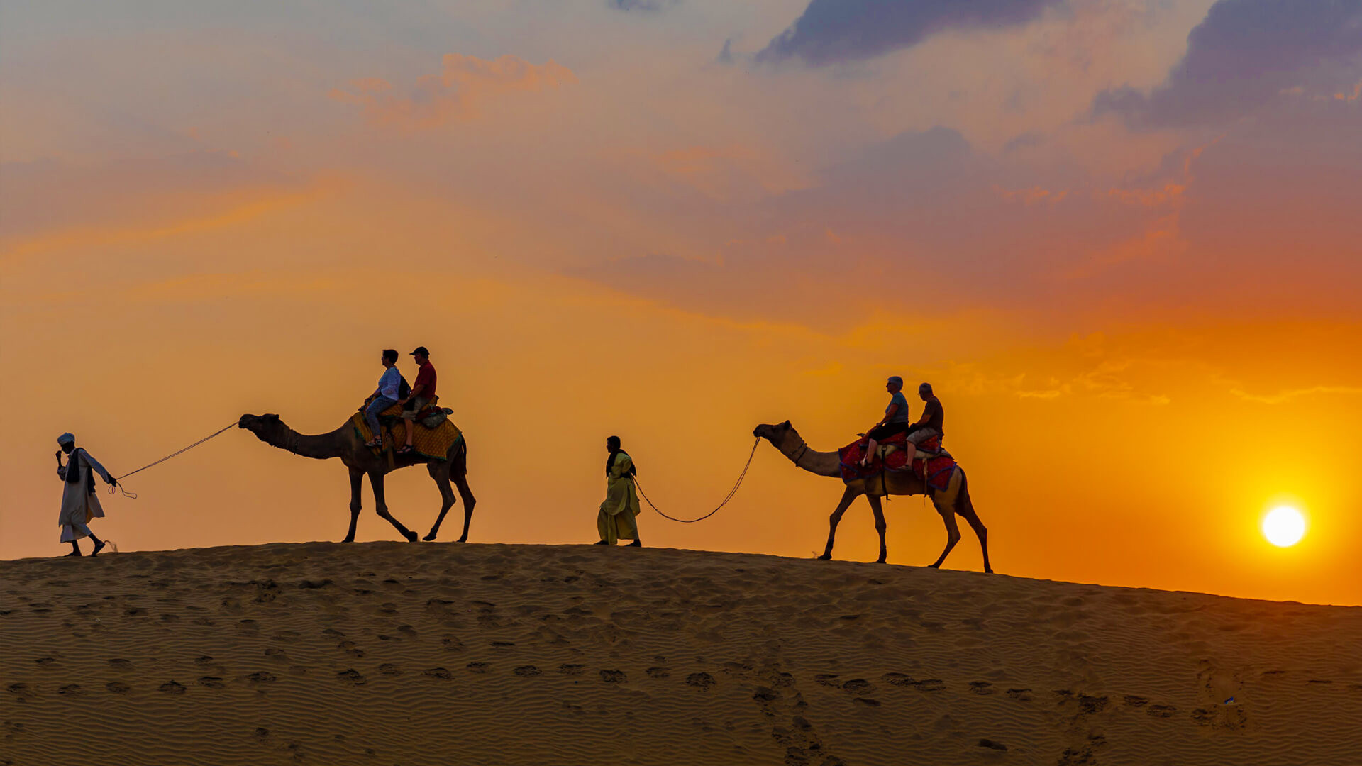 Camel Safari Luxury Tours in India 